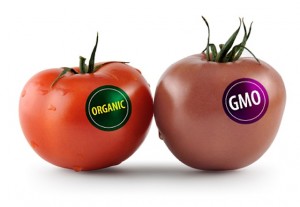 GMOs = DEATH!