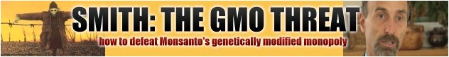 GMO Analyzed